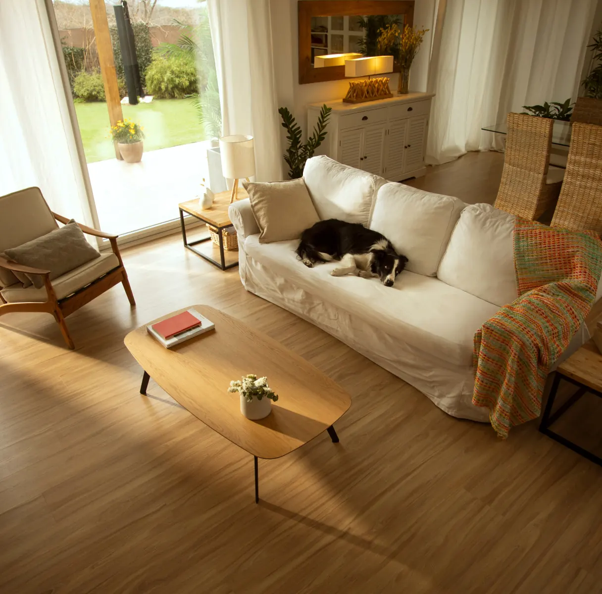 Fotodetector Verisure