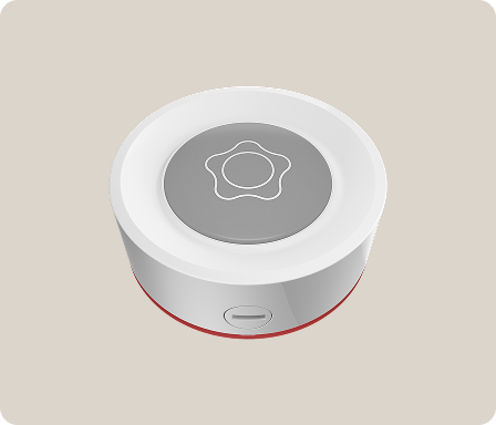 Pulsador anti atraco