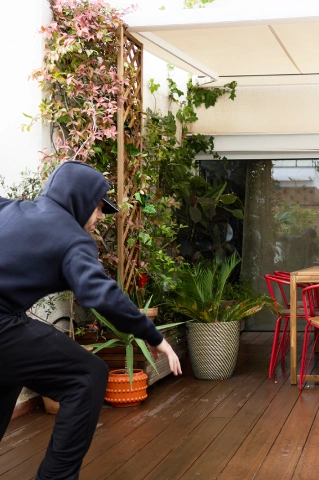 deteccion anticipiada