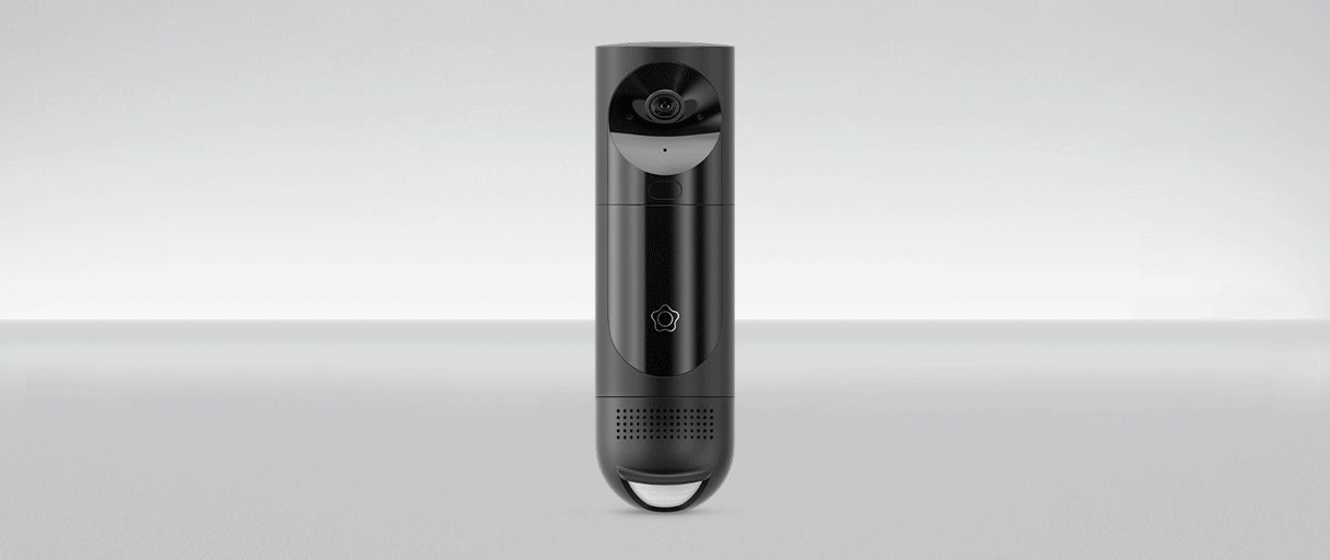 Detector perimetral y bodegón